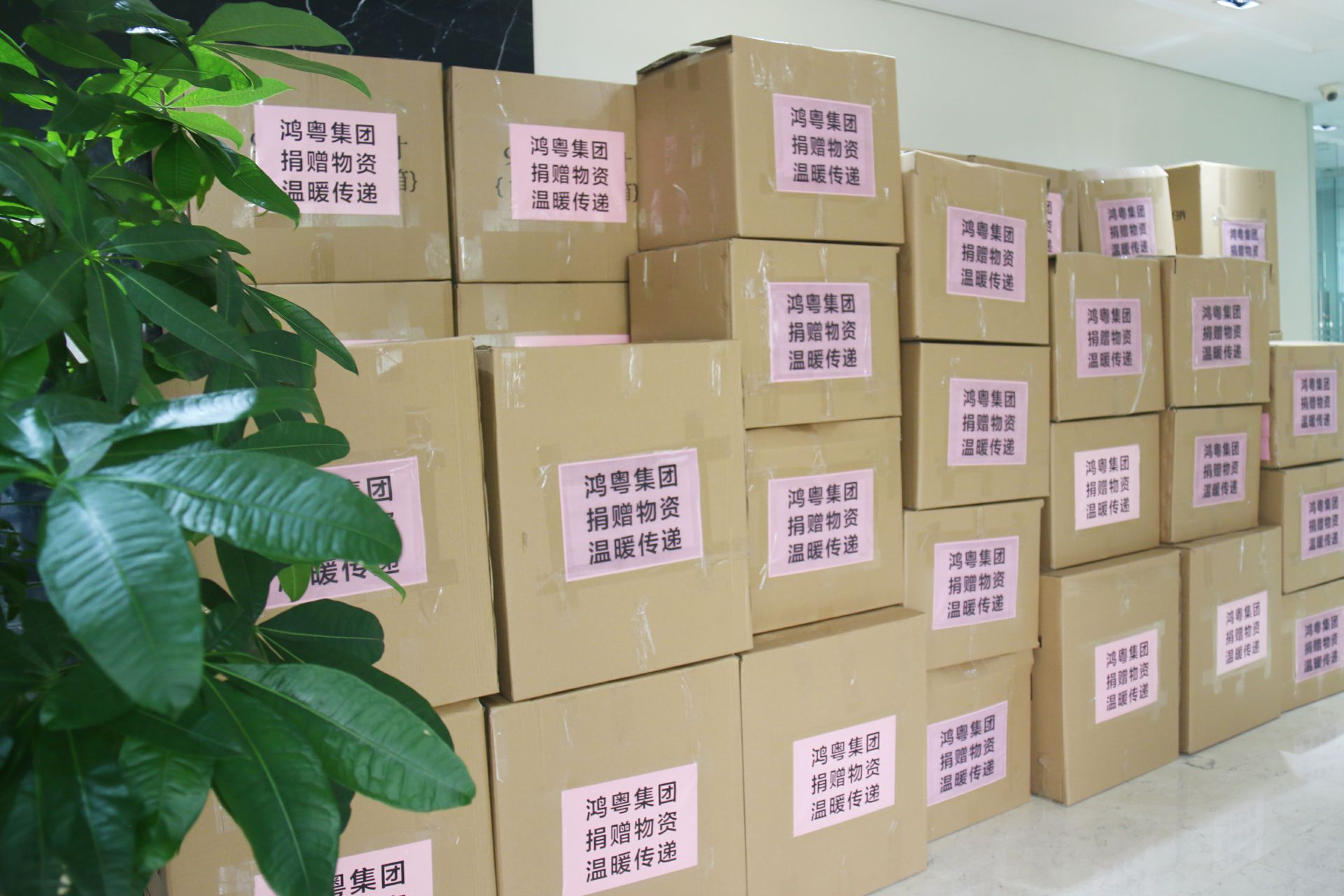 开云官方站网页版登录入口-开云(中国)公益回顾丨家国同欢月同圆 温暖满载甘孜州(图1)